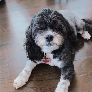 Meet your Posher, Sophia